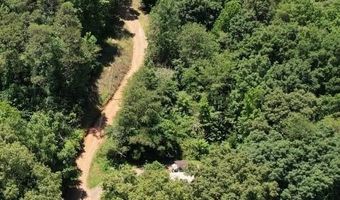 13356 Ellison Trce, Birchwood, TN 37308