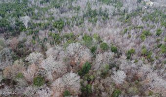 Saint John Road, Braxton, MS 39044