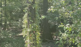 Bolivar Road, Benoit, MS 38725