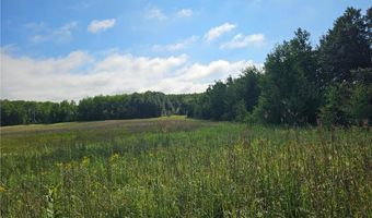 Parcel 1 Hwy 87, Backus, MN 56435