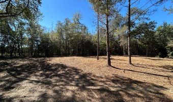 20 Ac Coot Adams Rd, Ashford, AL 36312
