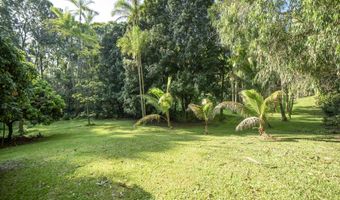 29-509 CHIN CHUCK Rd, Hakalau, HI 96710