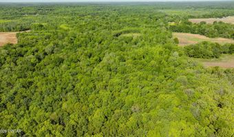 Beech Bluff Road, Beech Bluff, TN 38313