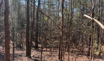 12 68 Acre 99 Rd, Blair, SC 29015
