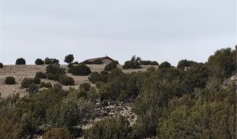 15 County Rd N8641, Concho, AZ 85924