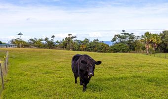 ILIOPUA RD, Honomu, HI 96728