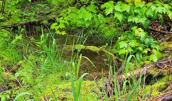 1895 TBD BLUE CREEK ROAD Rd, Addy, WA 99101