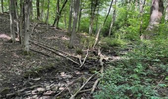 Green Road, Alfred, NY 14802