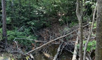 40 Acres Forestry Road 356, Beaumont, MS 39423