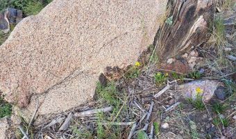 1390 Walking Wind Dr, Bellvue, CO 80512
