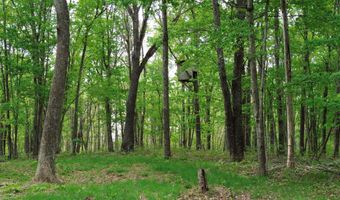 694 A Tunnel Ridge Rd, Argillite, KY 41121
