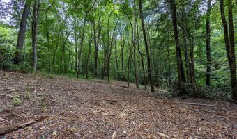 1034 Chestnut Flats Rd, Andrews, NC 28901