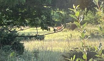 V/L 20AC Monaghan Point Road, Alpena, MI 49707