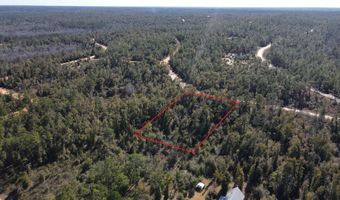 Trenton Avenue, Alford, FL 32420