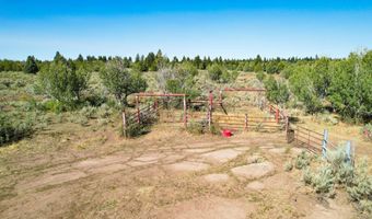 TBD Sadorus Hill Rd, Ashton, ID 83420