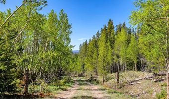 715 Lewsader Rd Lot 0, Alma, CO 80420