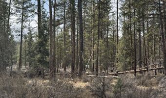 Bufflehead Drive TL 10, Bonanza, OR 97623