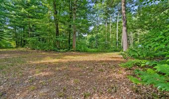 1125 39th St, Allegan, MI 49010