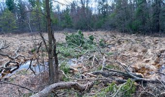 255 45 Ac Dover Dr, Adams, WI 53910