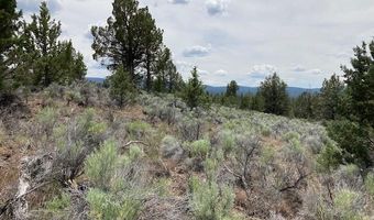 Lot 300 Hwy 140, Beatty, OR 97621