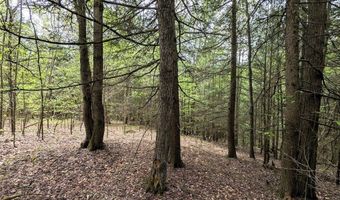 Stewart Road, Addison, NY 14801