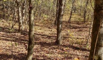 N Fork River Road, Abingdon, VA 24210