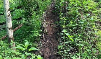 N3953-89 Bear Pen Road, Arkansaw, WI 54721