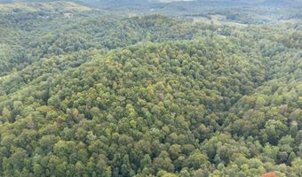 510 Shelton Ln, Beattyville, KY 41311