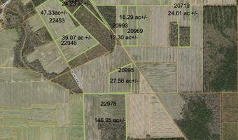 Sr 1918 Road, Aurora, NC 27806