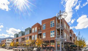 231 Robinson St 302, Basalt, CO 81621