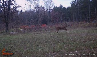 8752 HWY A, Almond, WI 54909