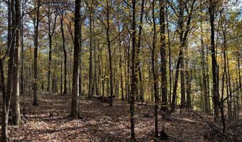 Hwy 9, Bruce, MS 38915