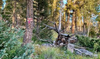 Lot 1332 Skyview Way, Angel Fire, NM 87710