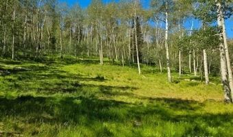 40 Acres Summit Mountain Rd, Brian Head, UT 84719