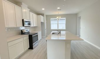 382 Lady Palm St, Apopka, FL 32703