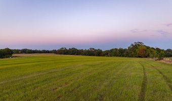 100 Acres Harmony Church Rd, Andalusia, AL 36421