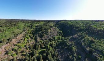 1703 Mountain Laurel Dr, Ashton, ID 83420
