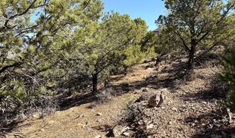 1037 S Canyon Dr, Cedar City, UT 84720