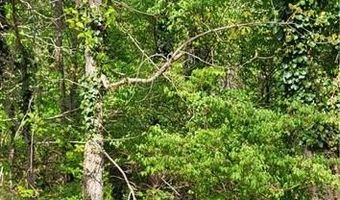 1642 R2 Kersey Valley Rd, Archdale, NC 27265