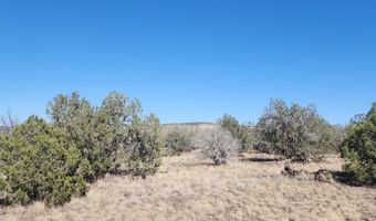 3214 N Kerren Lp, Ash Fork, AZ 86320