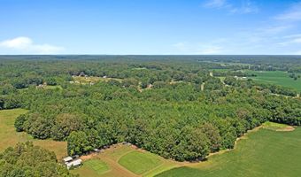 0 Cotton Grove Rd, Beech Bluff, TN 38313