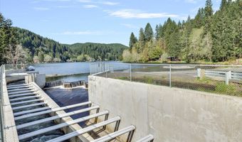 9965 BEACH Dr, Birkenfeld, OR 97016