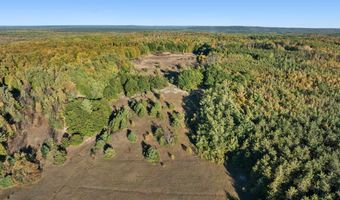 6639 REAMS Rd, Alanson, MI 49706