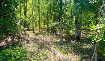 Grants Mill Rd W, Bennettsville, SC 29512