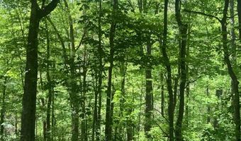 Wolf Hill Rd, Bethpage, TN 37022