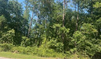 203 Pebble Cove Rd, Abbeville, AL 36310