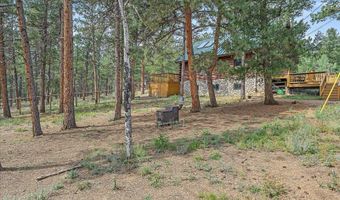 104 Six Bits St, Bailey, CO 80421