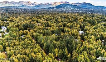 Lot 102 Nw Loc Sault Avenue, Anchorage, AK 99516