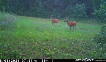 8752 HWY A, Almond, WI 54909