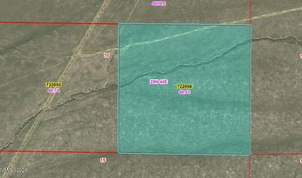 APN 007-220-56, Battle Mountain, NV 89820